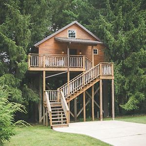 Lofty Willows Treehouse By Amish Country Lodging Миллерсберг Exterior photo