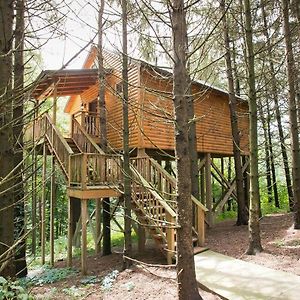 Вилла Whispering Pines Treehouse By Amish Country Lodging Миллерсберг Exterior photo