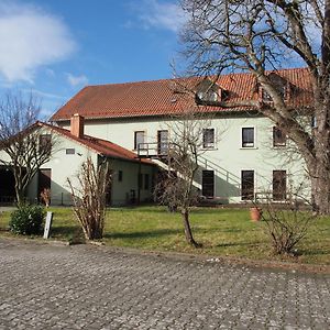 Отель Altes Teichhaus - Pension Ottendorf-Okrilla Exterior photo