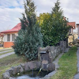 Вилла Casa Cu Fantana Borlesti Exterior photo