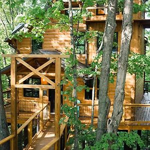 Вилла Treehouse #2 By Amish Country Lodging Миллерсберг Exterior photo