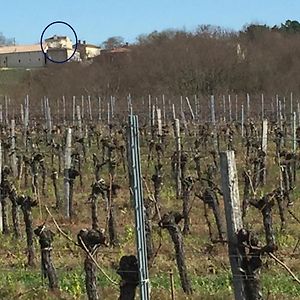 Апартаменты Superbe Gite A La Campagne Dans Le Bordelais Saint-Vivien-de-Blaye Exterior photo