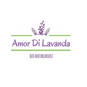 Bed and Breakfast Amor Di Lavanda Чинголи Exterior photo