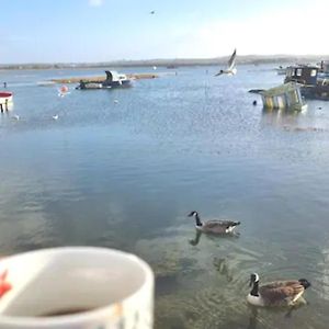 Вилла Holes Bay Nature Reserve, Poole, Right Next To The Water Exterior photo