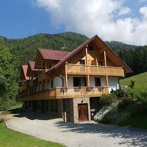 Отель Turisticna Kmetija Zgornji Zavratnik Luce Exterior photo