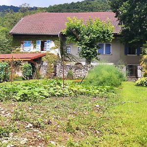 Вилла Du Vent Dans Les Arbres -120M2 Belle Vue Sur Le Lac Chindrieux Exterior photo