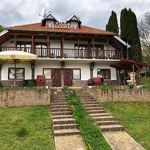 Villa Balconlux - Zavojsko Jezero, Пирот Exterior photo