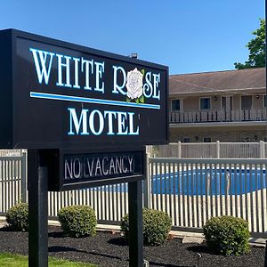 White Rose Motel - Херши Exterior photo