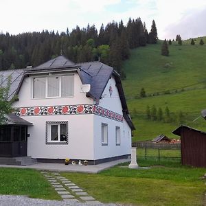 Вилла Casa Dumitru Si Elena Ciocanesti Bucovina Exterior photo