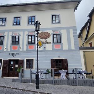 Hotel Salamander - Garni Банска-Штьявница Exterior photo