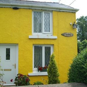 Apple Cottage Brynamman Exterior photo