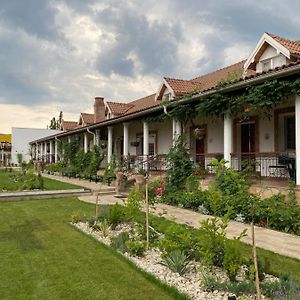 Country Club La Mesteceni Себеш Exterior photo