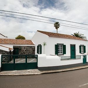 Casa Das Palmeiras Сан-Висенти-Феррейра Exterior photo