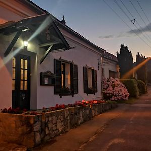 Bed and Breakfast Gomba Panzio Велем Exterior photo