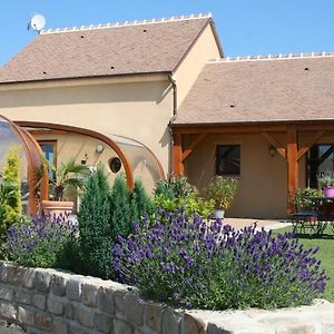 Вилла Maison De Charme En Berry Pres D'Un Golf & Spa, Jardin D'Hiver, Velos, Animaux Bienvenus - Tout Inclus - Fr-1-591-332 Поулигны-Нотре-Даме Exterior photo