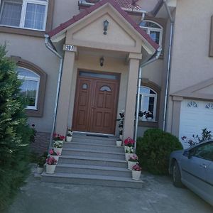 Апартаменты Casa Andrei Хацег Exterior photo