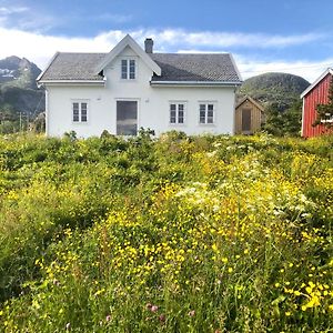 Romantisk Hus-Med Panorama Utsikt Over Lofotodden Сёрвоген Exterior photo