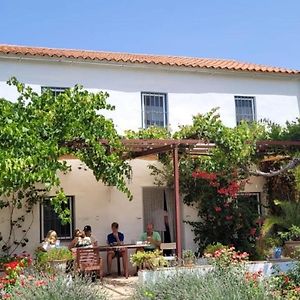 Finca Los Meleros Andalucian Farmhouse Set In Its Own Land With Beautiful Terraces, Garden & Pool. Ольвера Exterior photo