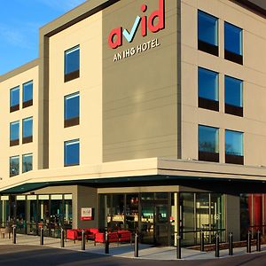 Avid Hotels - Boston Logan Airport - Revere, An Ihg Hotel Exterior photo