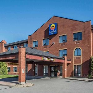 Comfort Inn Порт-Хоп Exterior photo