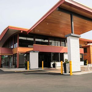 Quality Inn O'Hare Airport Шиллер-Парк Exterior photo