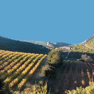 Апартаменты Gite Dans Ancienne Bergerie En Pleine Garrigue Fraisse-des-Corbieres Exterior photo