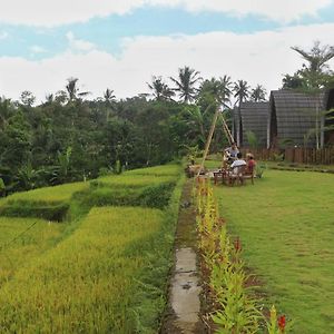 Отель Omah Bapak Ijen Eco House Licin Exterior photo