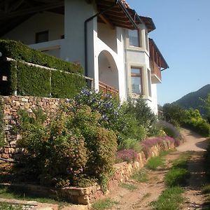 Вилла Agritur Maso Pomarolli Giovo Exterior photo