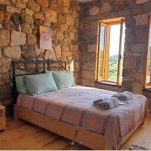 Unique Hotel Room Surrounded By Nature Close To Assos Ancient City In Ayvacik Canakkale Сазлы Exterior photo