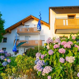 Ferienwohnungen Bauer - Auszeit Mit Ausblick Zenting Exterior photo