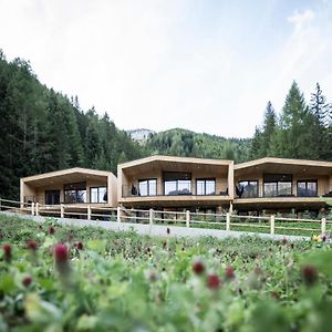 Stelza Nature Chalet Валь-ди-Вицце Exterior photo