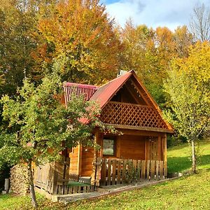 Трембіта Рахов Exterior photo