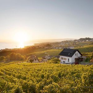 Отель #Lavaux Лютри Exterior photo