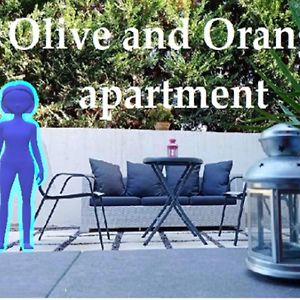 Olive And Orange Apartment Мистра Exterior photo