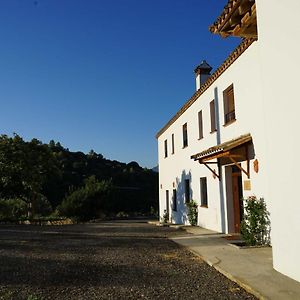 Вилла Hacienda Molino Nuevo Альгодоналес Exterior photo