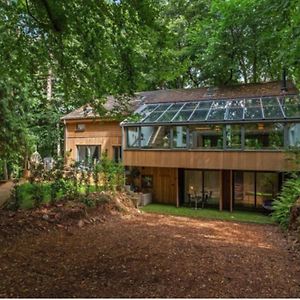 Вилла 5 Star Luxury Woodland Retreat Sleeps 12 Hot Tub Sauna Clapton in Gordano Exterior photo