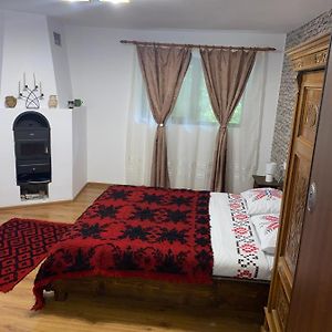 Bed and Breakfast Casuta Din Padure Хунедоара Exterior photo