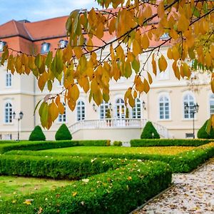 La Contessa Castle Hotel Сильвашварад Exterior photo