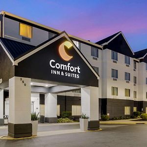 Comfort Inn & Suites Mt Laurel-Philadelphia Маунт-Лорел Exterior photo