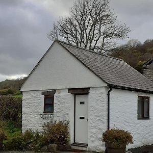 Вилла Y Llew Bach, The Tiny House Gwytherin Exterior photo