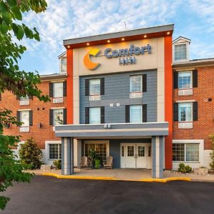 Comfort Inn Сарния Exterior photo