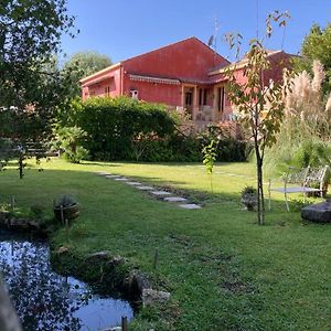 Casa Gino Petrulli Etna, Villa Con Piscina Цафферана-Этнея Exterior photo