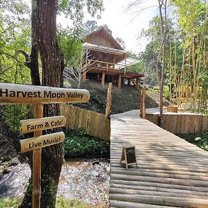 Вилла Harvest Moon Valley Ban Pang Luang Exterior photo