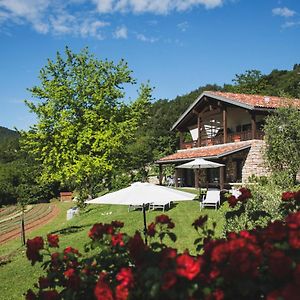 Coste Del Gaggio - Country House B&B - Garda Trentino Дрена Exterior photo