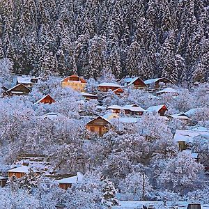 Отель Friendly House Боржоми Exterior photo