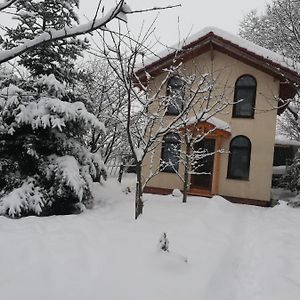 Вилла Tiny Cabin Брашов Exterior photo