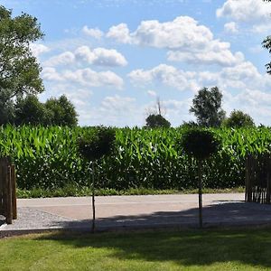 Вилла Cosy Cott, Een Verborgen Logeerplek In Het Landelijke Poeke. Алтер Exterior photo