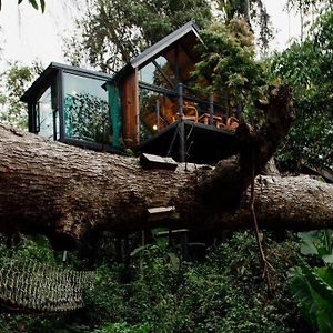 Вилла Wilderness Treehouse Дойсакет Exterior photo