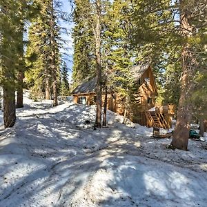 Вилла Bear Valley Cabin - Ski To Cross Country Trails! Tamarack Exterior photo