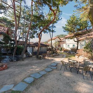 Clear Morning Pet Friendly Pension Кёнджу Exterior photo